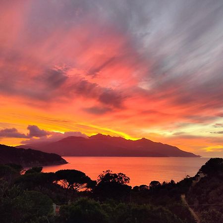 Hotel Scoglio Bianco Portoferraio Ngoại thất bức ảnh